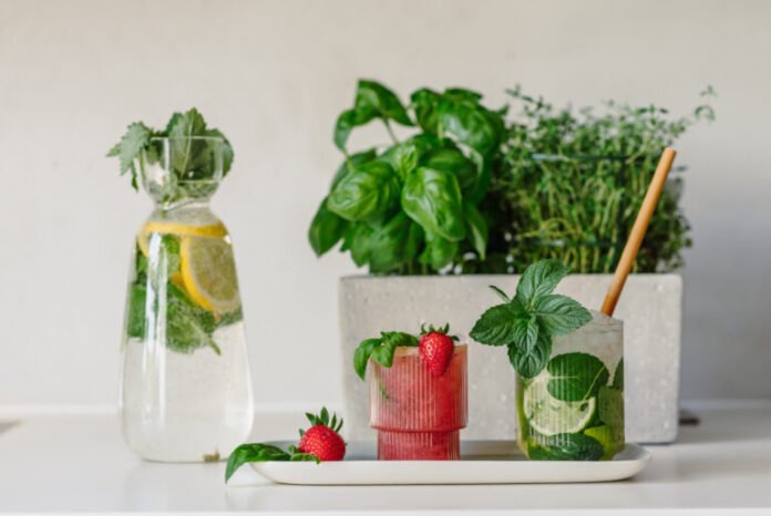 studio soco Werbeagentur Salzburg